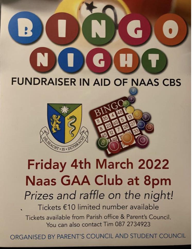 bingo-night-flyer-in-2023-bingo-night-fundraiser-flyer-bingo