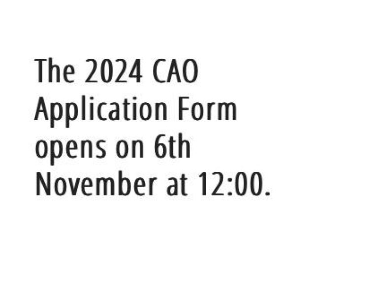 CAO Application Facility Naas CBS